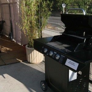 Barbacoa despedidas