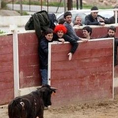 capea logroño