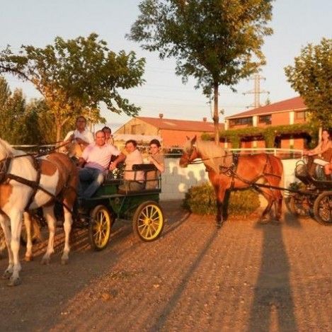 Despedida rociera en Logrono