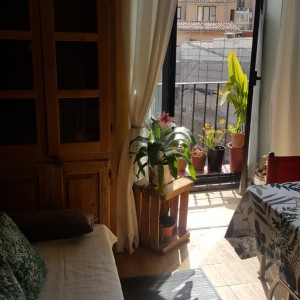 Piso Calle Mayor 1 alquiler despedidas Logrono