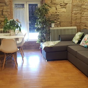 Piso Calle Mayor 2 alquiler despedidas logrono