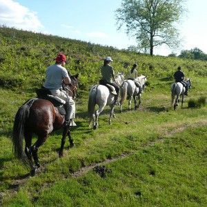 paseo caballo despedidas Logrono