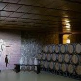 Visita bodega Logrono