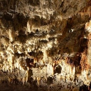 Espeleologia despedidas logrono