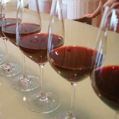 Cata Vino en Logrono