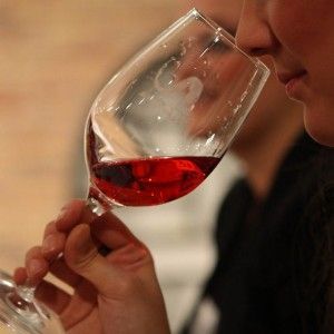 Cata Vino en Logrono