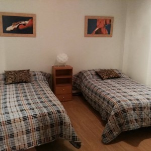 Piso centro alquiler despedidas Logrono
